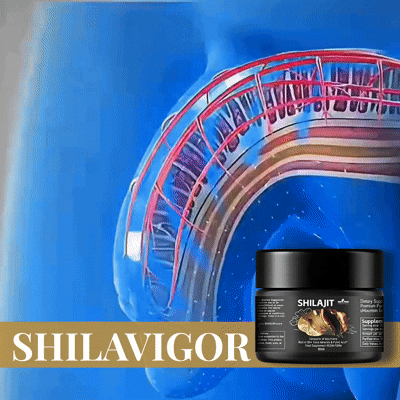 SHILAVIGOR – Shilajit in Resina Pura